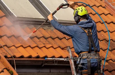 Démoussage et hydrofuge de toiture à Hinges